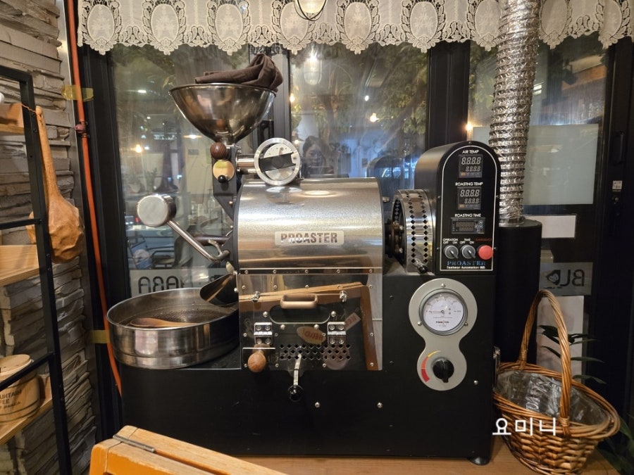 블루하라 사진 4