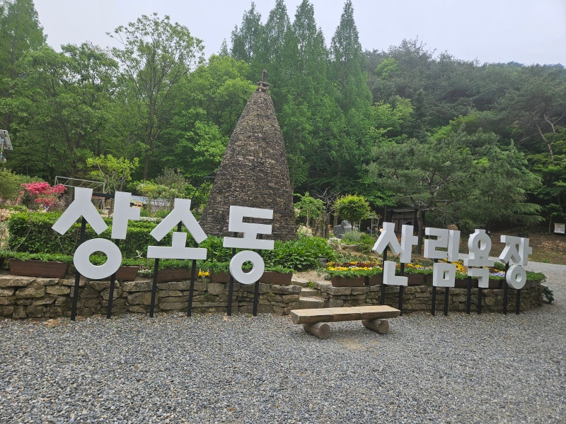 사진 7