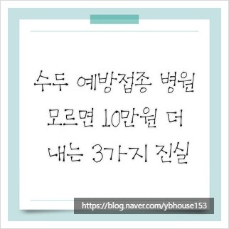 수두 예방접종 병원, 모르면 10만원 더 내는 3가지 진실