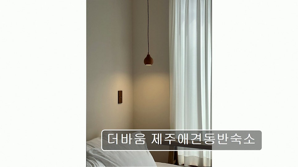 더바움 사진 2