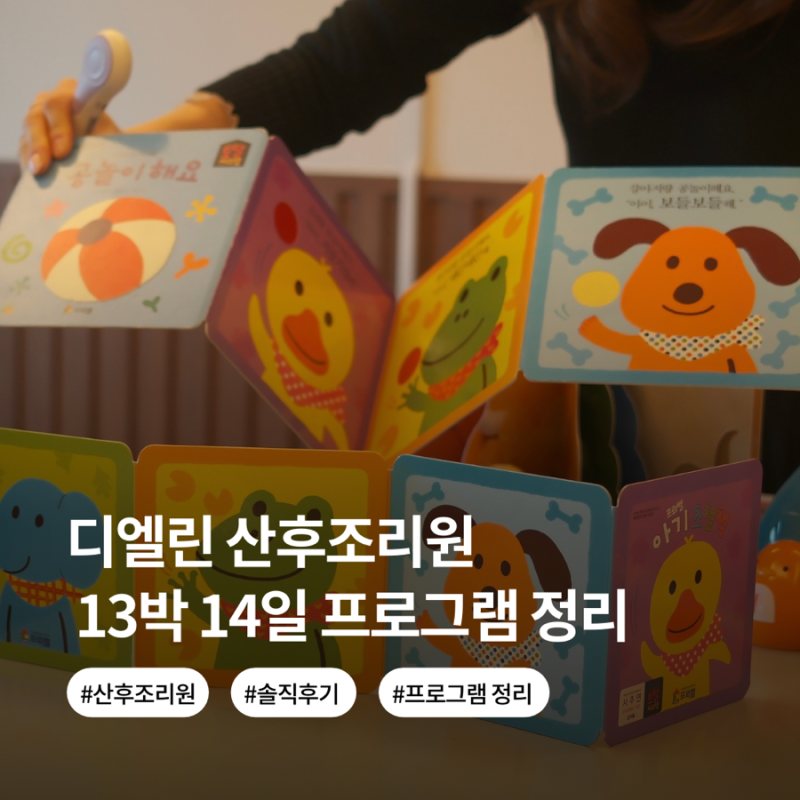 디엘린산후조리원 2026 후기: 13박 14일 프로그램 정리 (내용 / 추천도 / 소요시간)