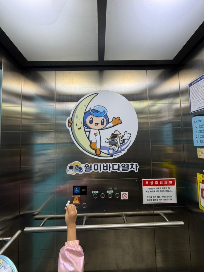 사진 8