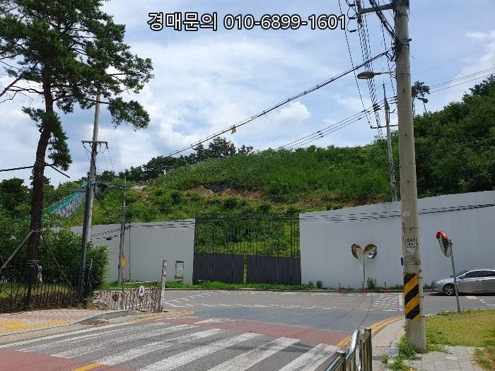  대구 달성군 다사읍 세천리, 탁월한 입지와 개발 잠재력 품은 대규모 임야 경매 2024-36777