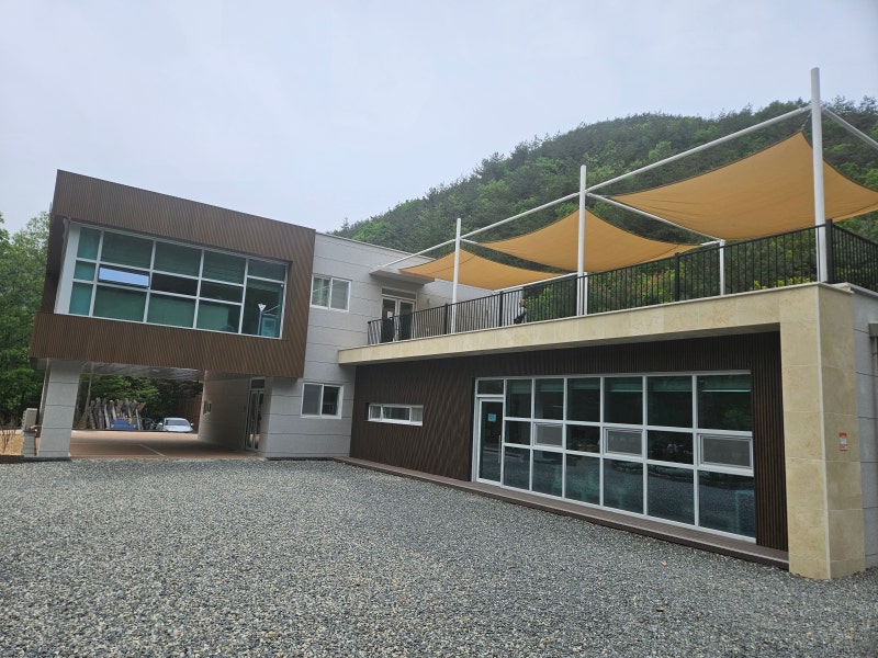 사진 8
