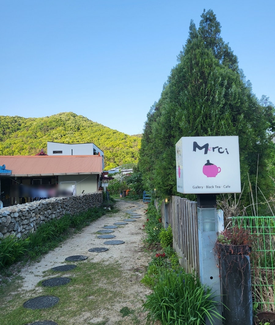 메르시 사진 1