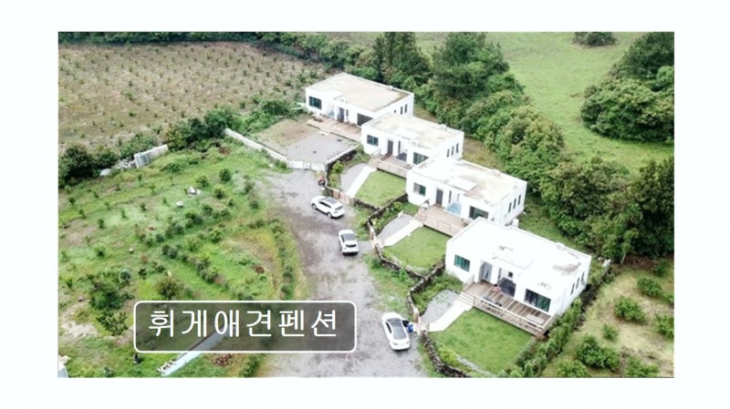 사진 10