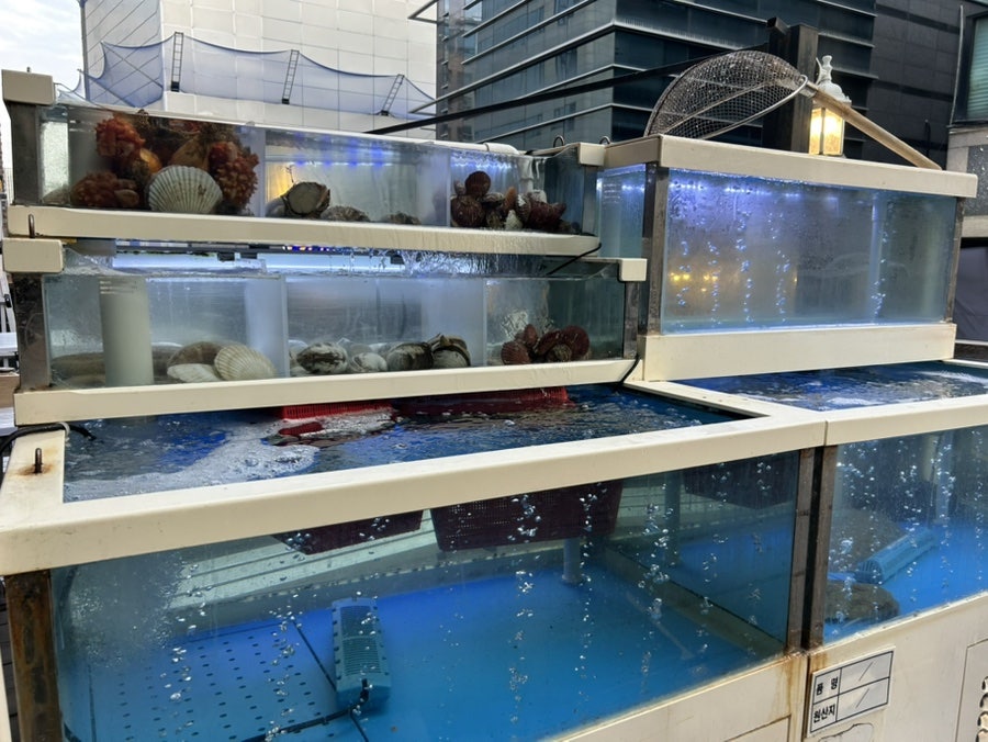 청춘포차 사진 3