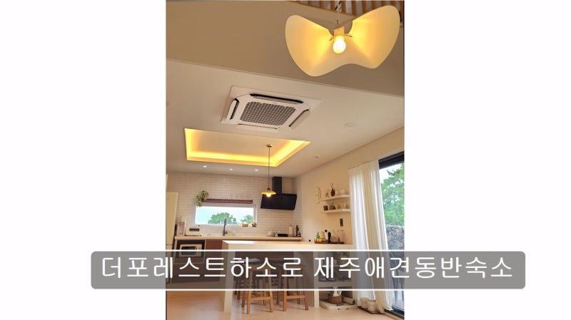 사진 6
