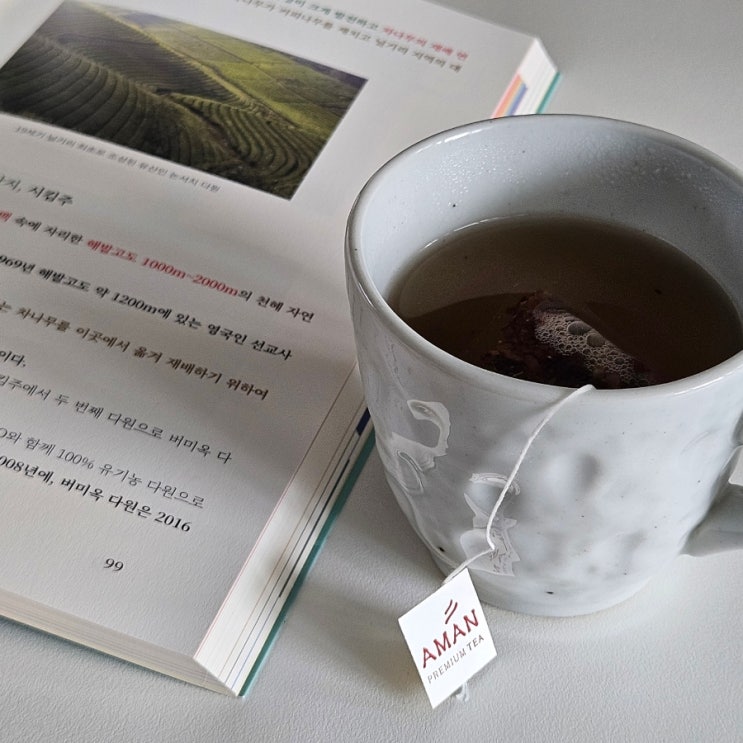  한국티소믈리에연구원 티소믈리에 자격증 차 끓이는방법 홍차언니 홍차를부탁해 후기