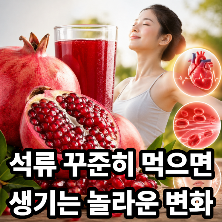  석류 꾸준히 먹으면 나타나는 놀라운 효과 (건강 변화 총정리)