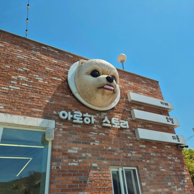 아로하스토리