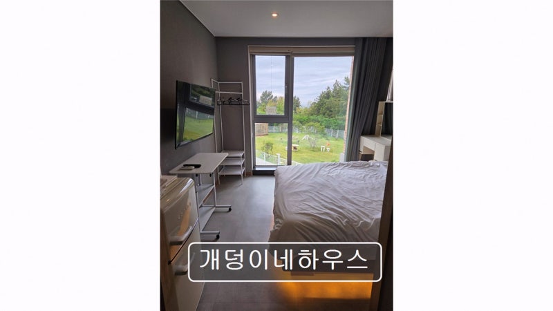 사진 3