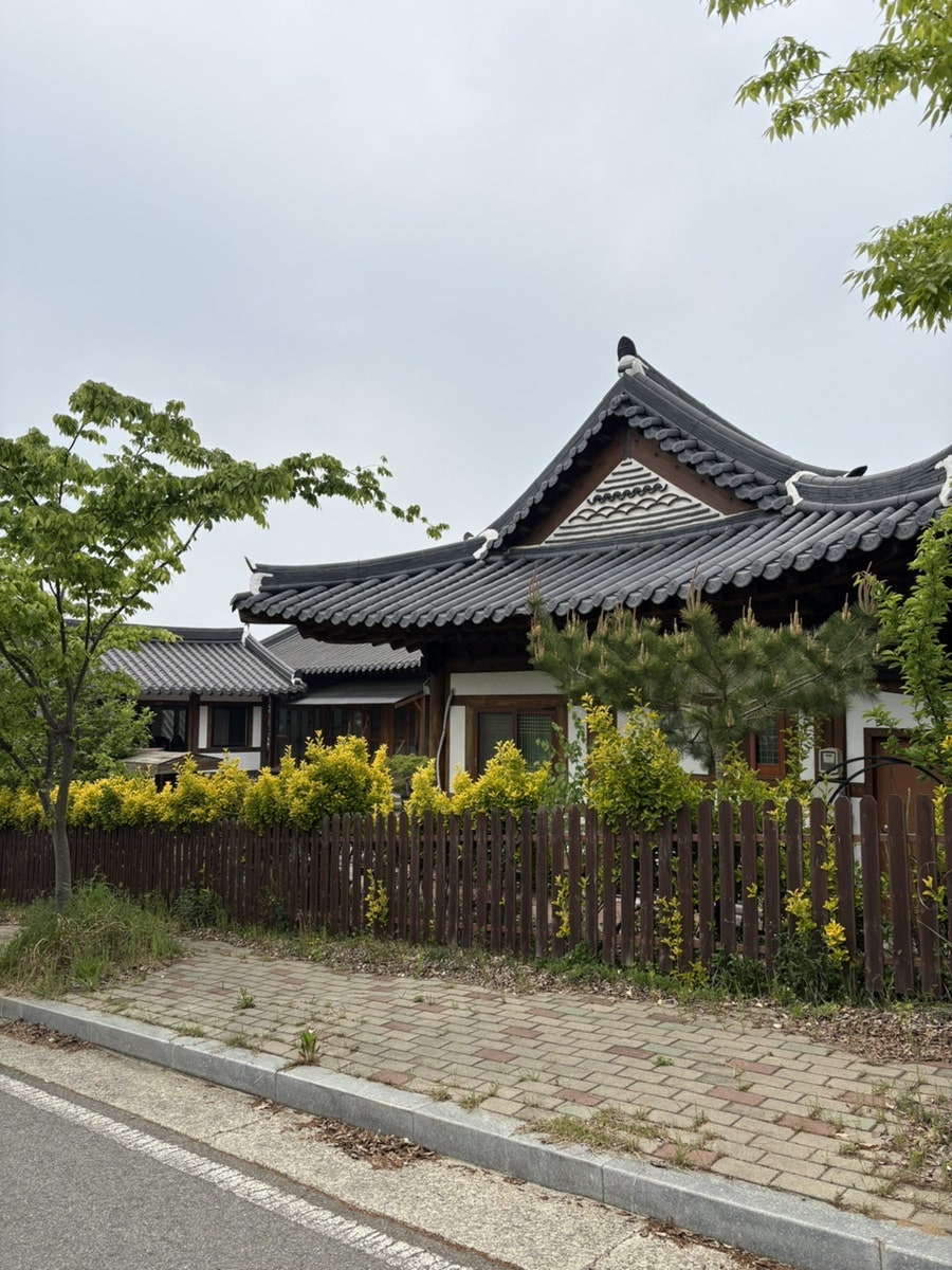 웅지와나옹이 사진 3