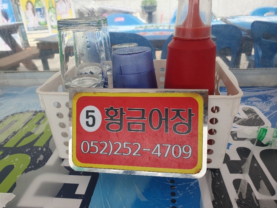 황금어장 사진 5
