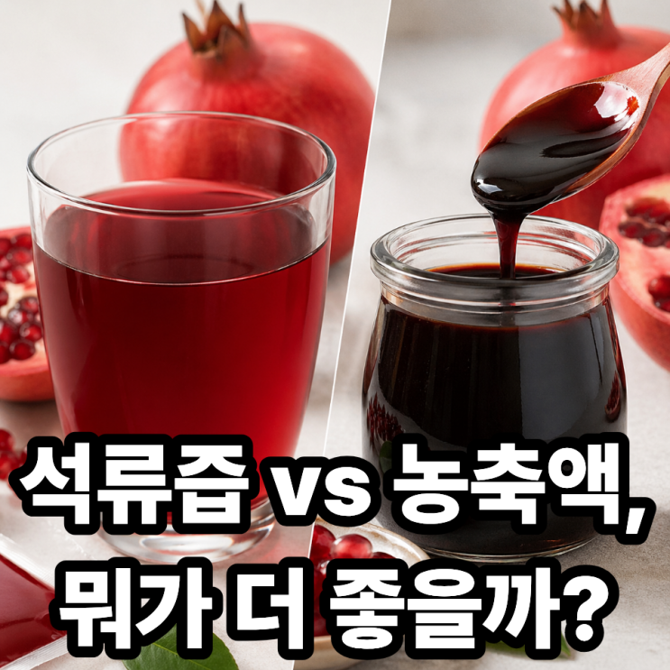  석류즙 vs 석류 농축액, 뭐가 더 건강에 좋을까? 