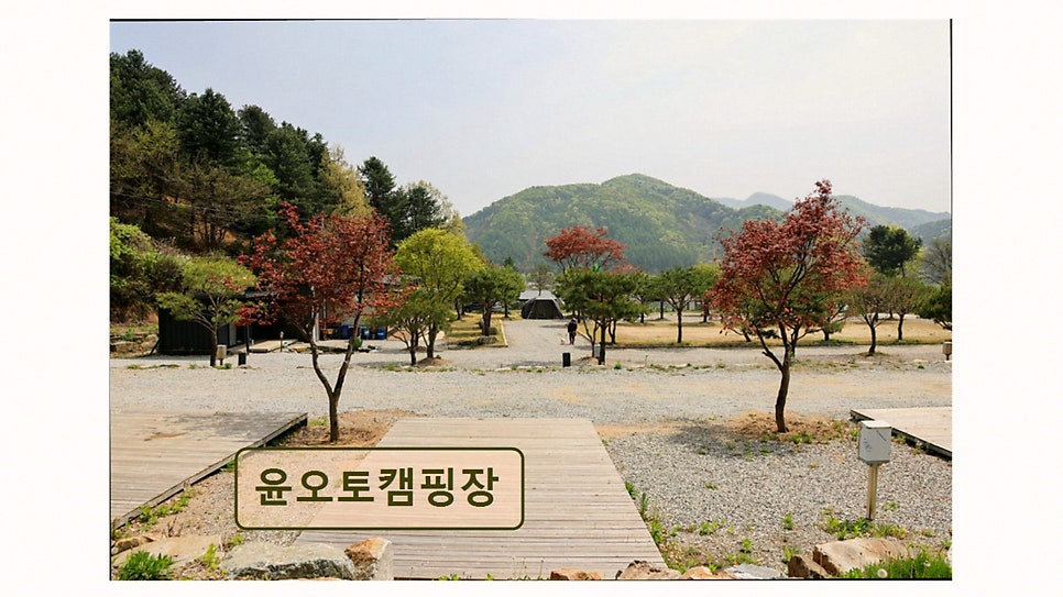 윤오토캠핑장 사진 5