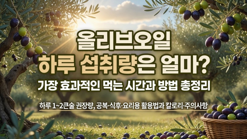 올리브오일 하루 섭취량은 얼마? 가장 효과적인 먹는 시간과 방법 총정리