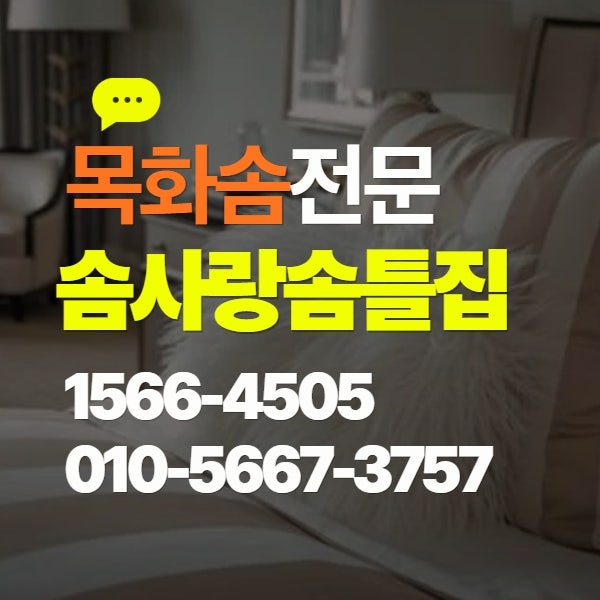 사진 8
