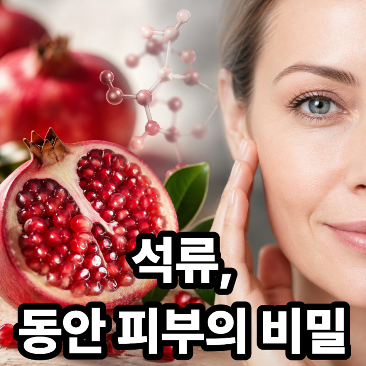  석류 속 폴리페놀, 노화 방지에 얼마나 효과 있을까? 