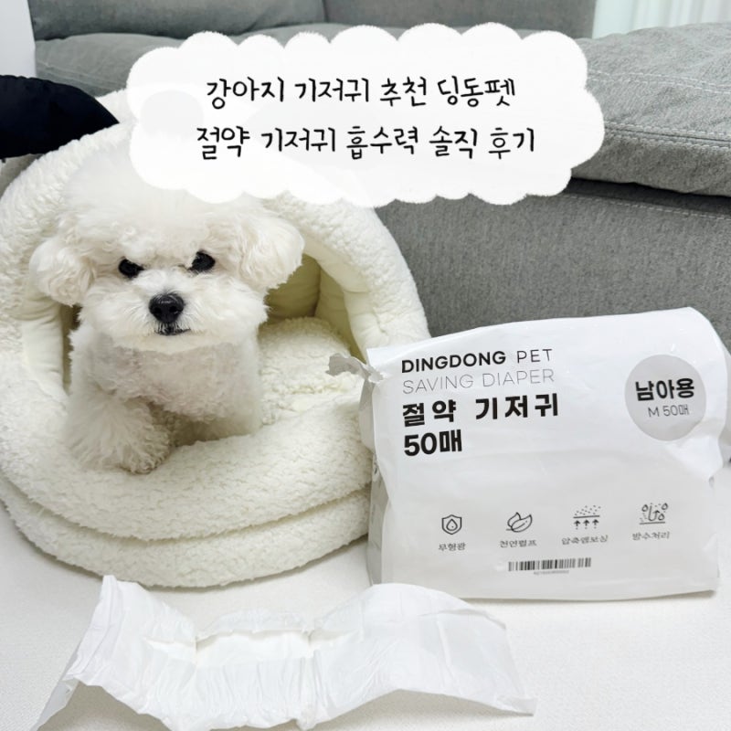강아지 기저귀 추천 딩동펫 절약 기저귀 흡수력 솔직 후기