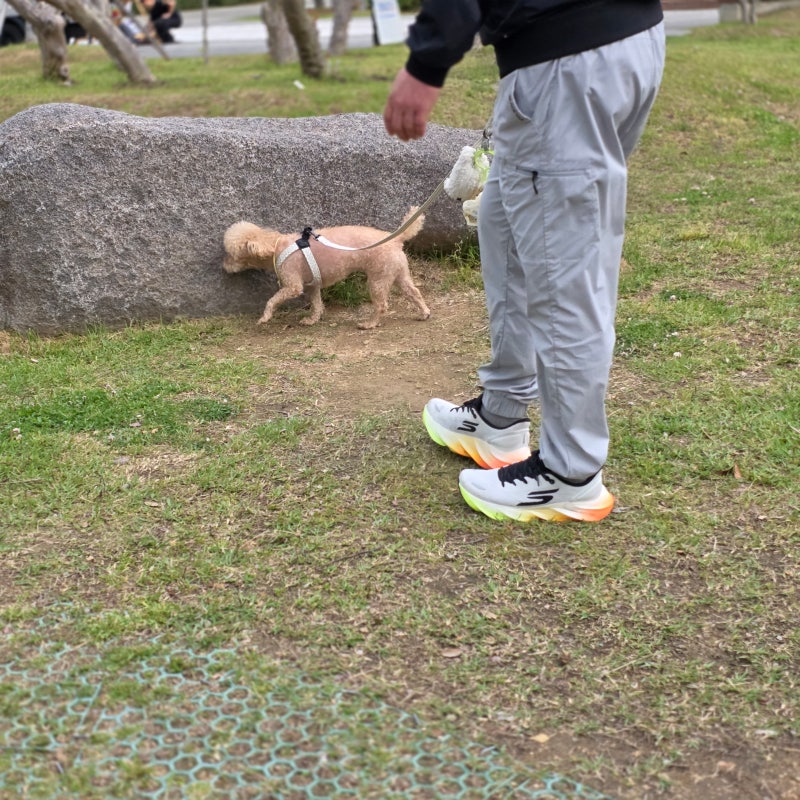 사진 5