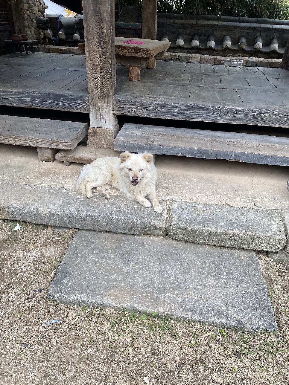 통나무묵집 사진 4