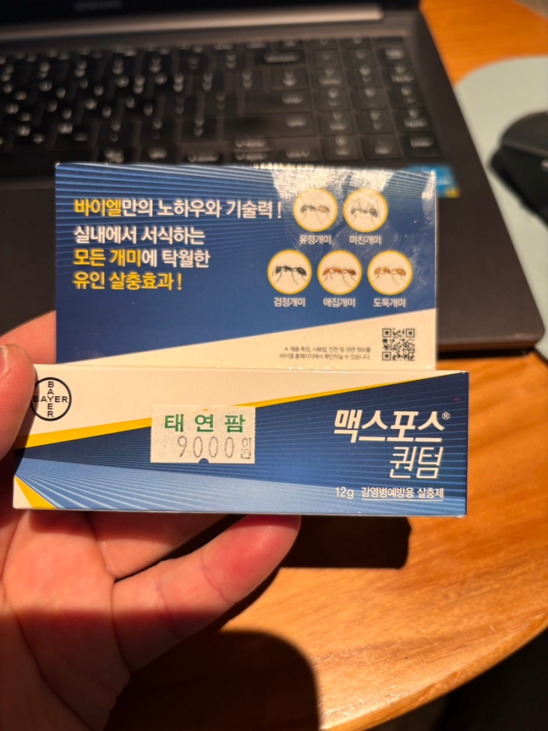 집에 개미가 나온다??? 맥스포스 퀀텀으로