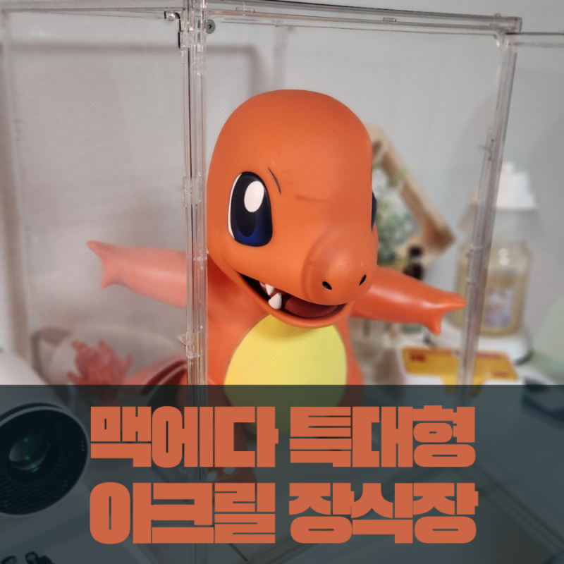 [ 아크릴피규어장식장 ] 1:1사이즈 피규어도 쏘옥 들어가는 맥에다 특대형 아크릴장식장