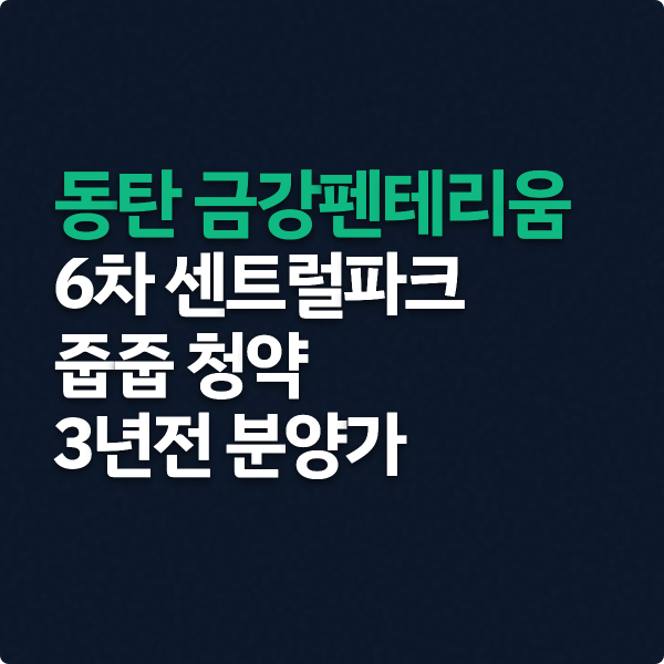  동탄 금강펜테리움 6차 줍줍 청약 정리