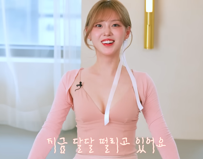 "발레복 노출 지적에 김채현이 팬들에게 남긴 충격적인 한마디"