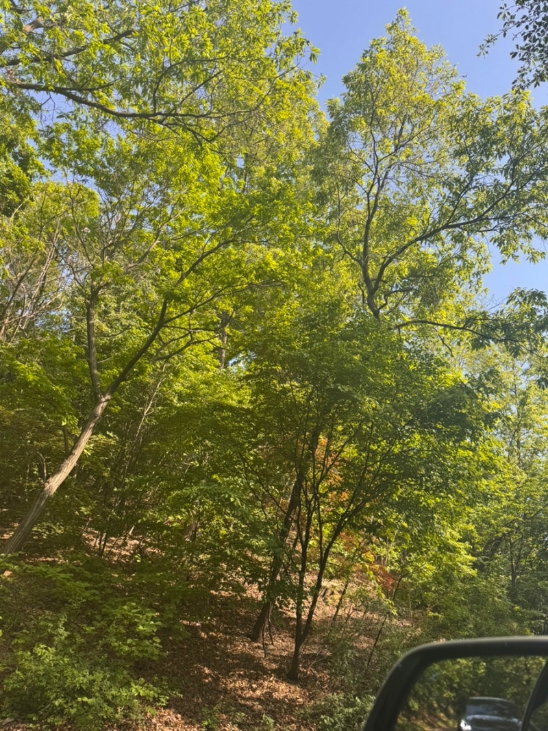 첫 캠핑, 서울대공원 캠핑장에서 후기!