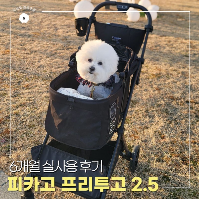피카고 유모차 프리투고 2.5 내돈내산 6개월 사용기 메가주 팁