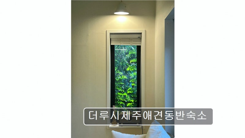 사진 2