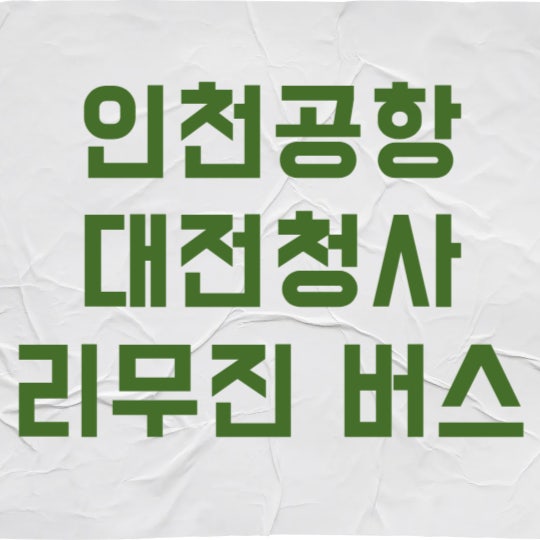 대전청사 인천공항 리무진 3가지만 알면 대기 시간 1시간 줄입니다