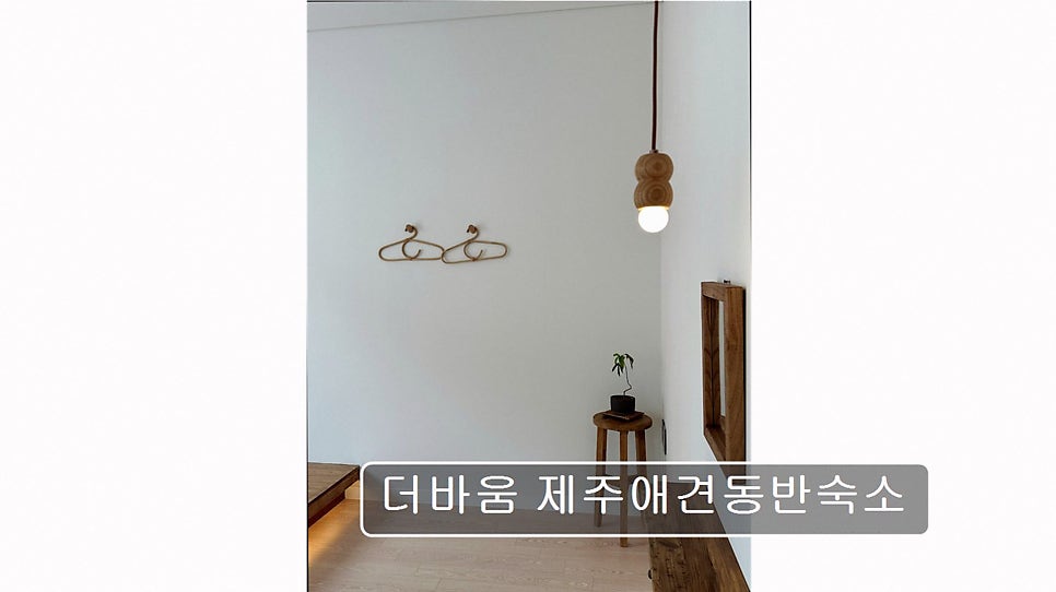 더바움 사진 4