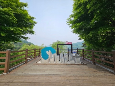 사진 5