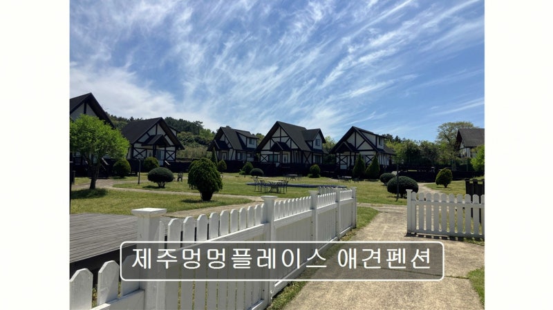 사진 2