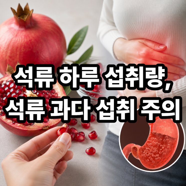 석류 하루 섭취량 기준은? 과다 섭취 시 부작용 총정리