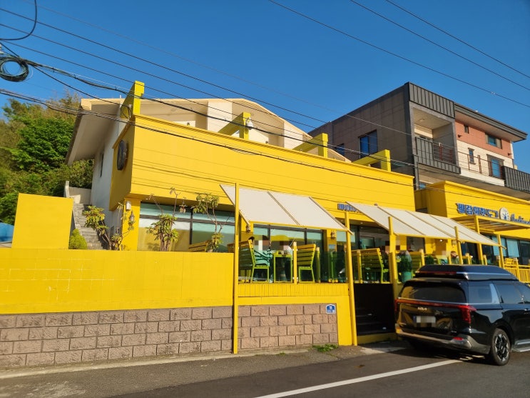  거제도맛집 바람의핫도그 거제본점 바람의언덕 가볼만한곳 노랑버덩 내돈내산 솔직후기
