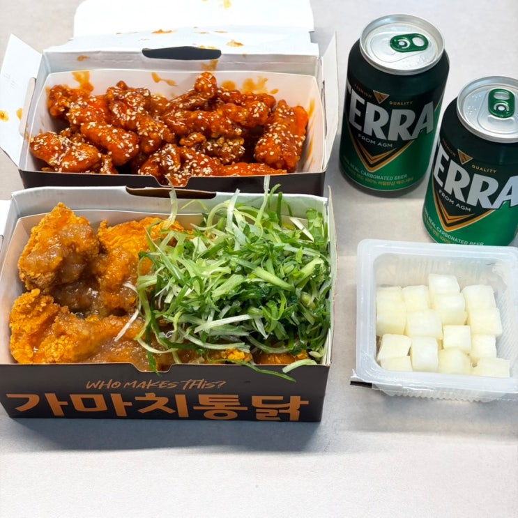  동탄맛집 동탄치맥 가마치통닭 동탄반송점 양념순살 허니마늘순살파닭 후기 메뉴 추천