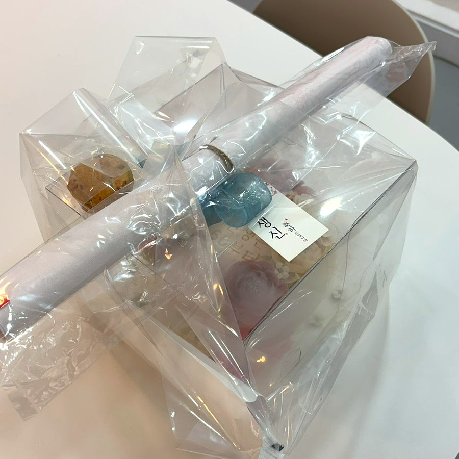 앙큼한 설기 사진 2