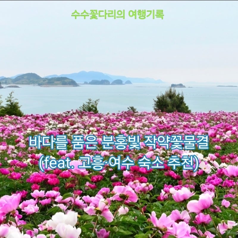 사진 2