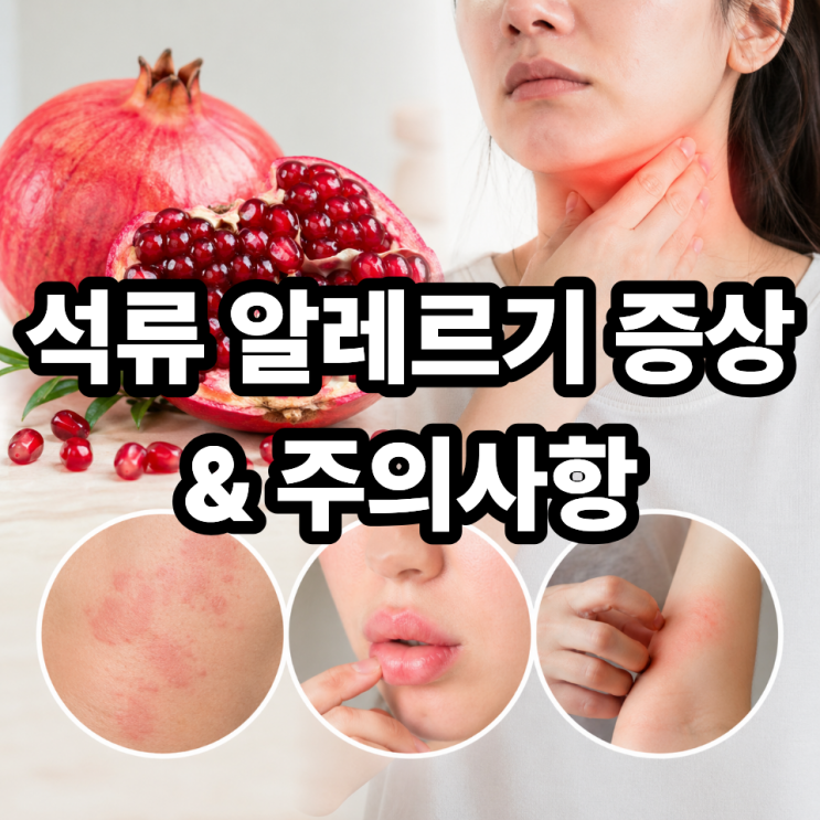  석류 알레르기 증상과 주의사항 정리 | 먹기 전 꼭 알아야 할 정보