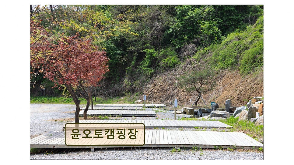 윤오토캠핑장 사진 6