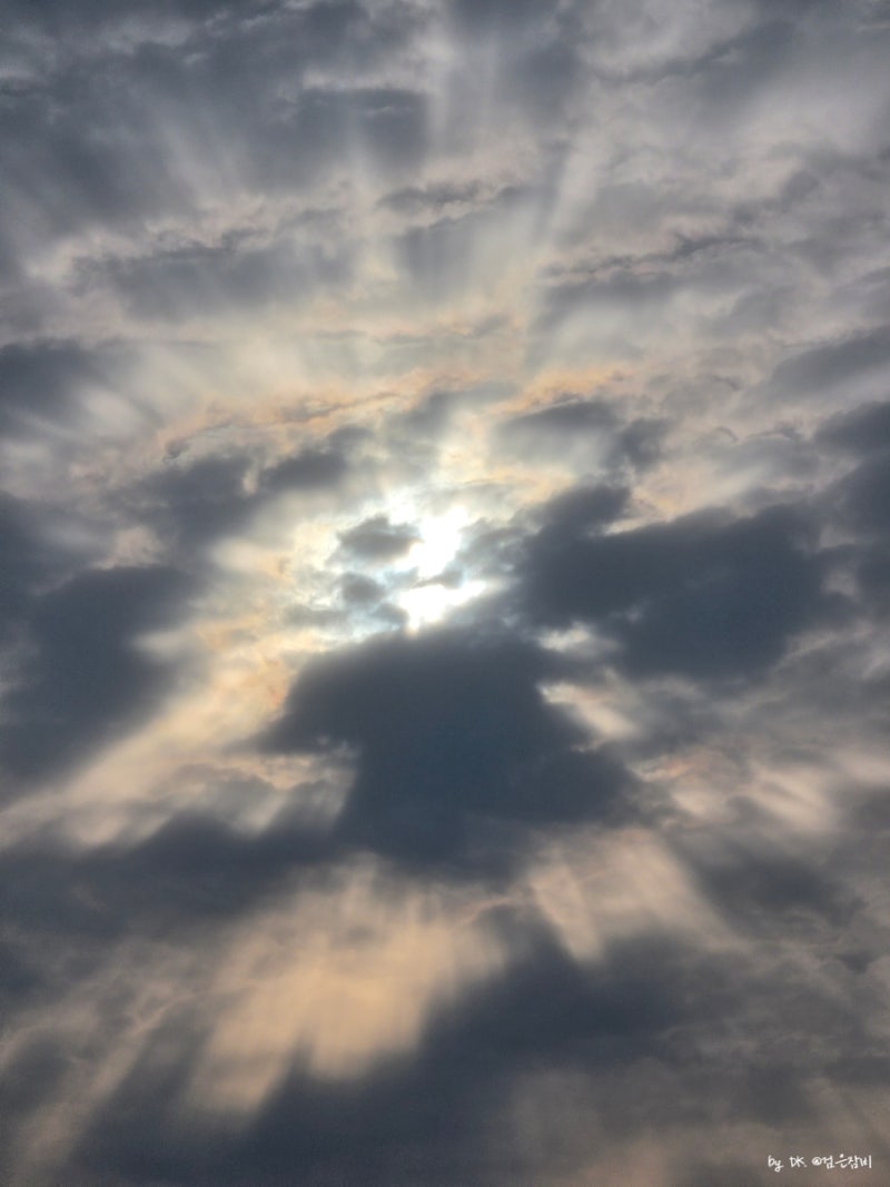 사진 10