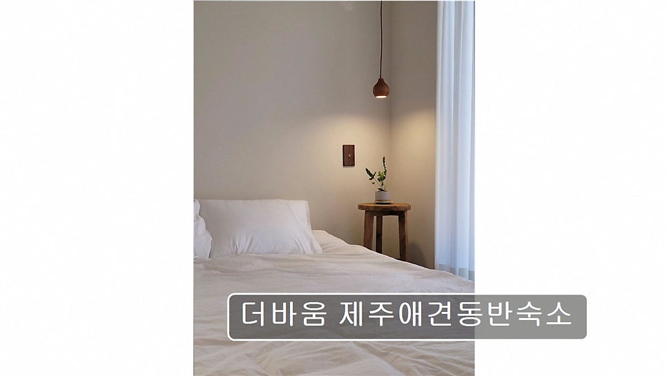 더바움 사진 3