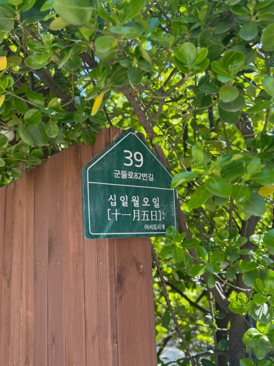 사진 8