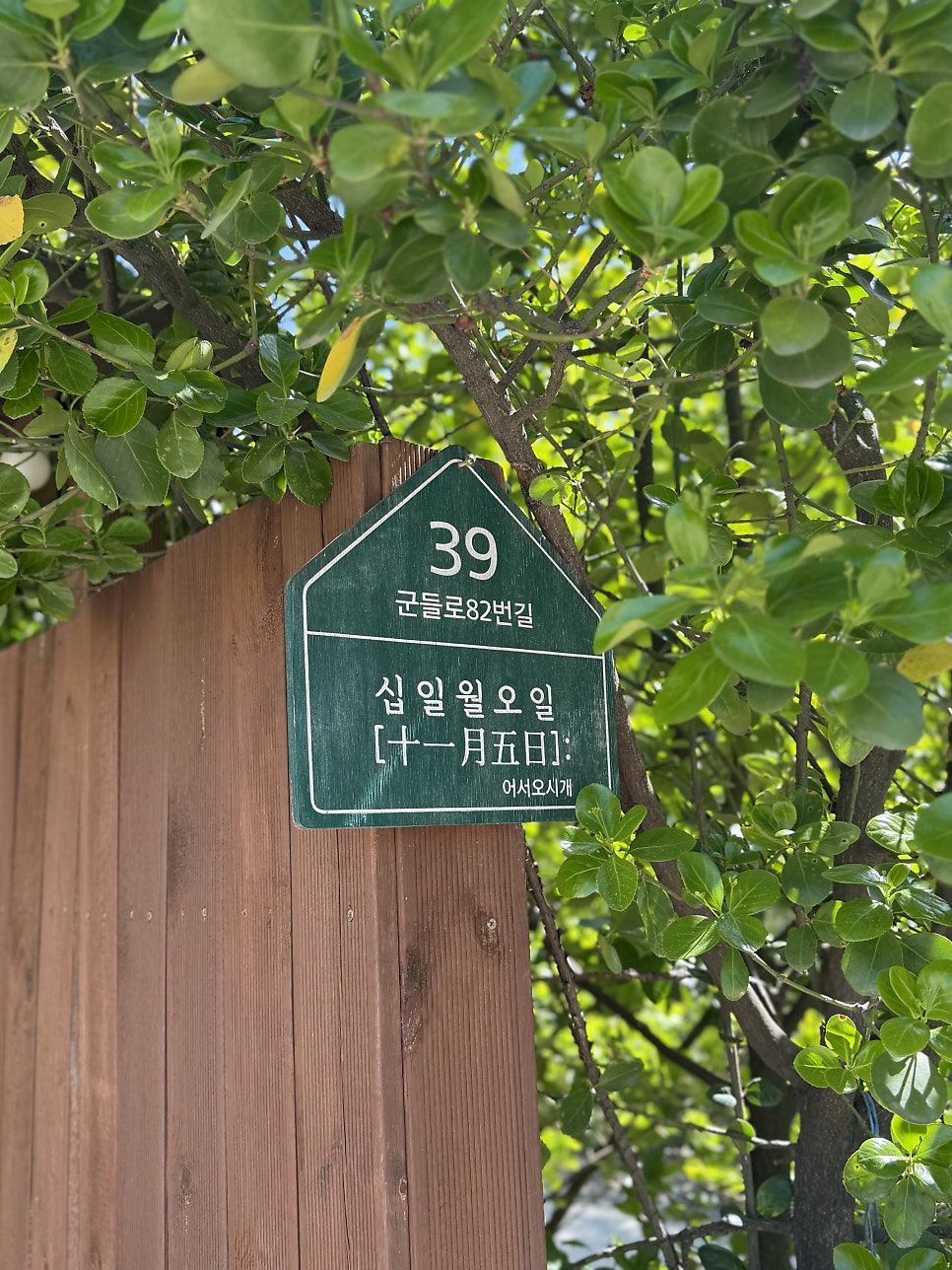 십일월오일 사진 2