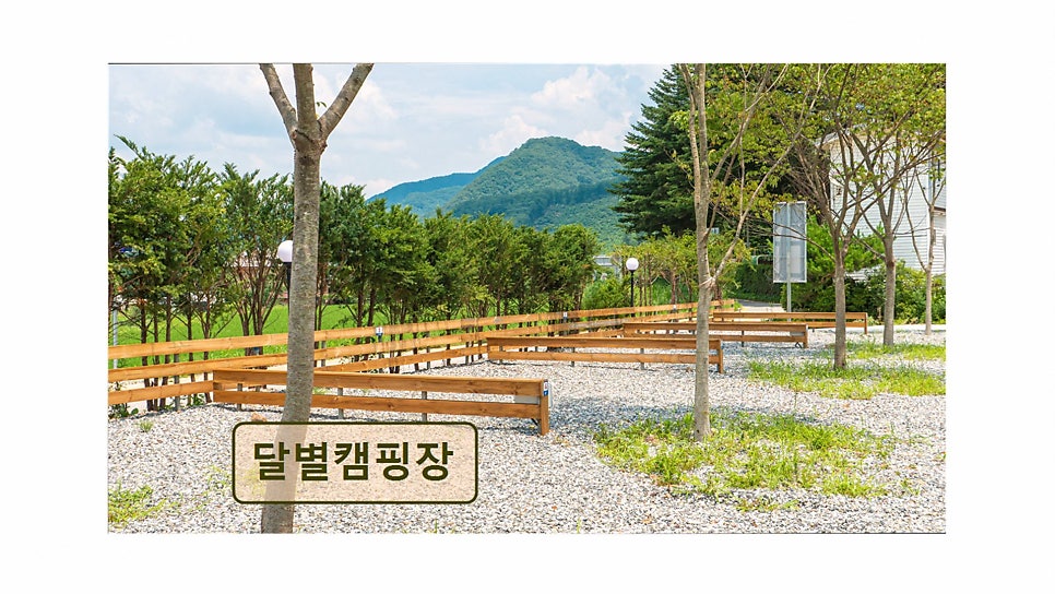 달별캠핑장 사진 4