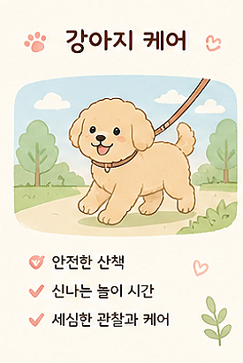 사진 8